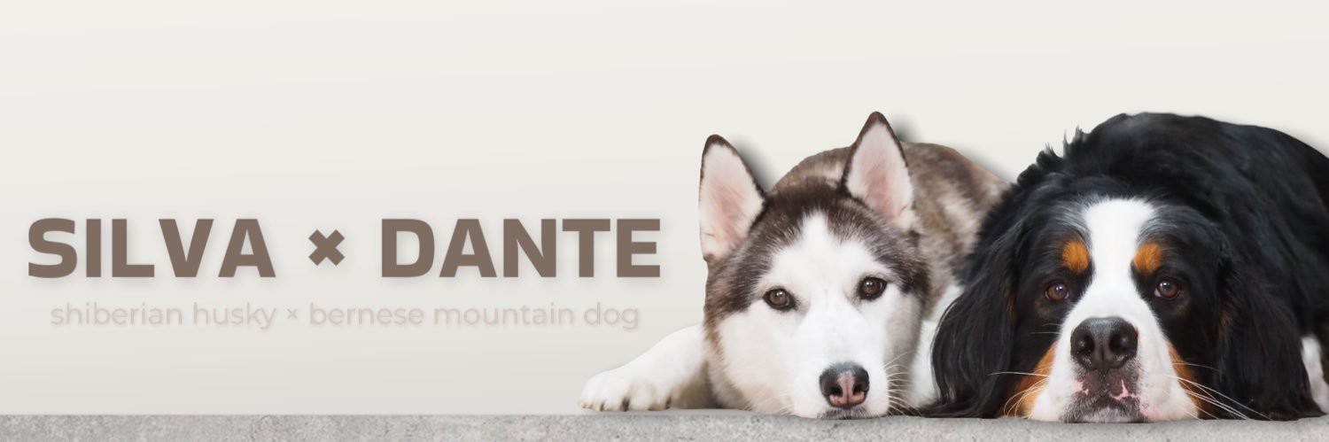 🤍𝐒𝐈𝐋𝐕𝐀 × 𝐃𝐀𝐍𝐓𝐄🤎's banner