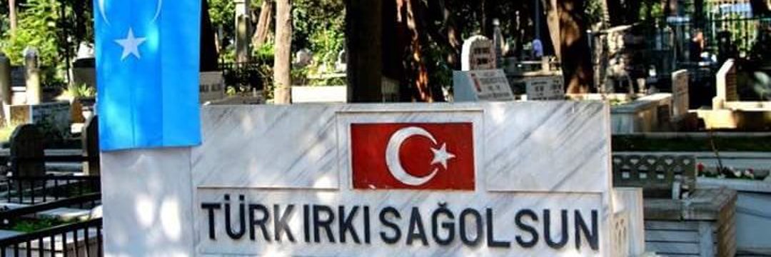 yasemin's banner