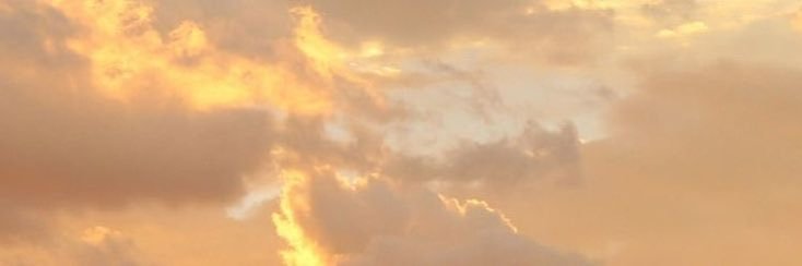 carla's banner