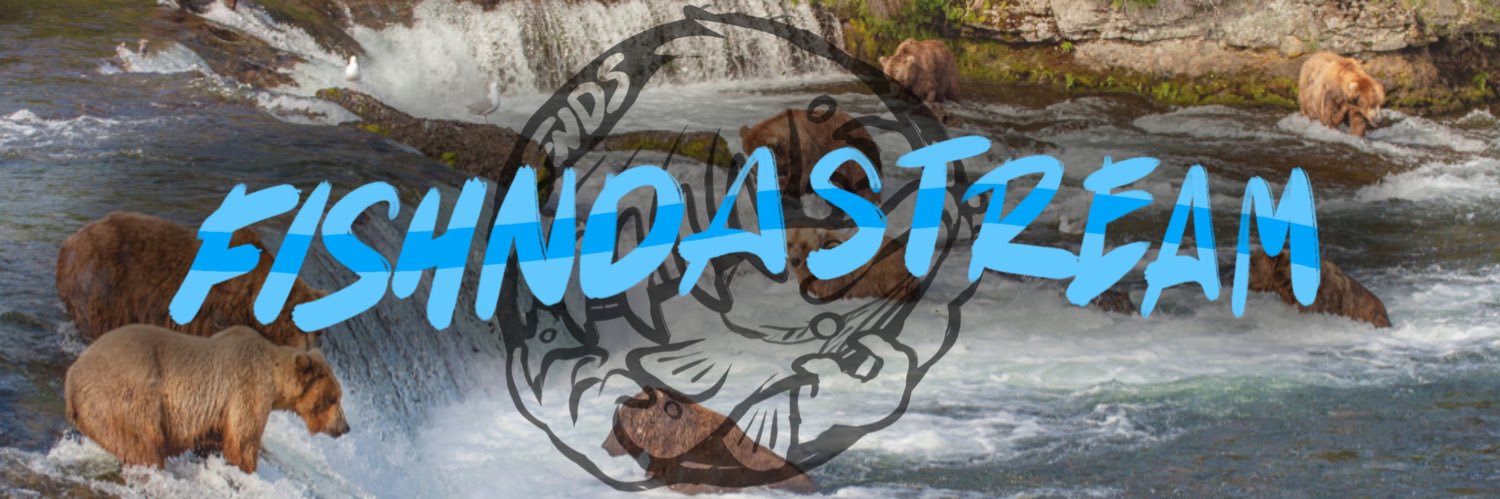 ROBB🐾✨'s banner