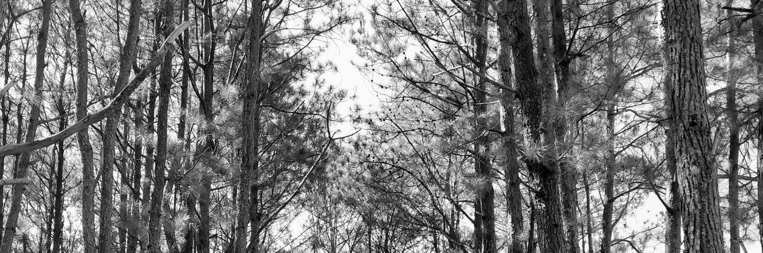baguio_bottom🌸's banner