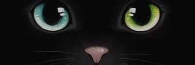 Altanero🙂🔪's banner