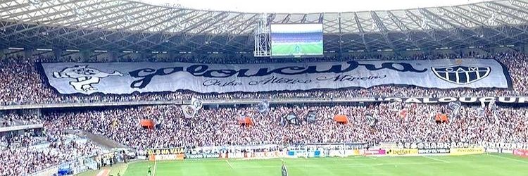 Leonardo's banner