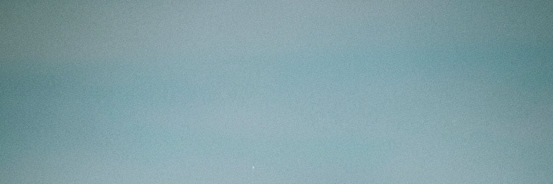 Victor's banner