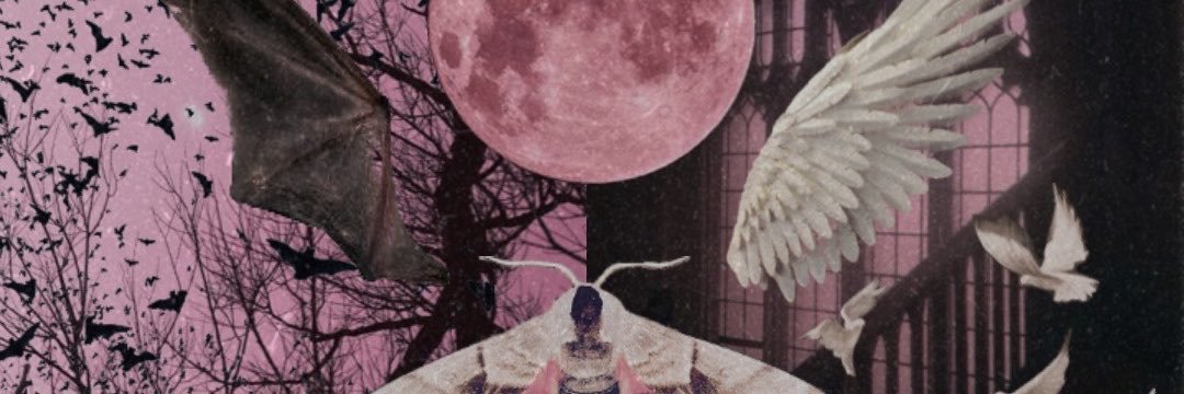 𝔪𝔬𝔬𝔫˚.🦴 🔜AC's banner