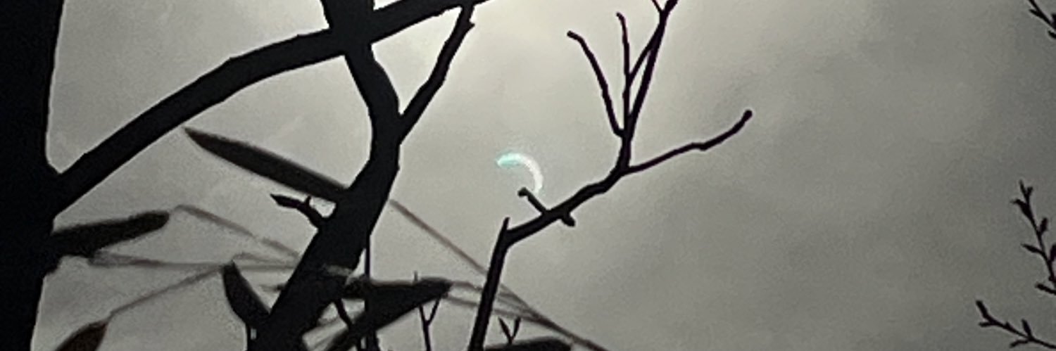 txzzi's banner
