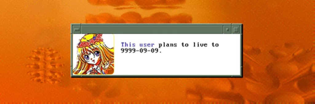 Playda's banner