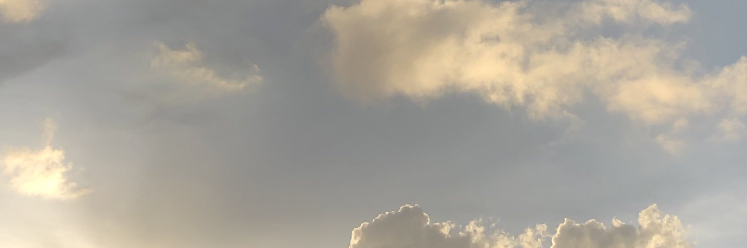 🥑's banner