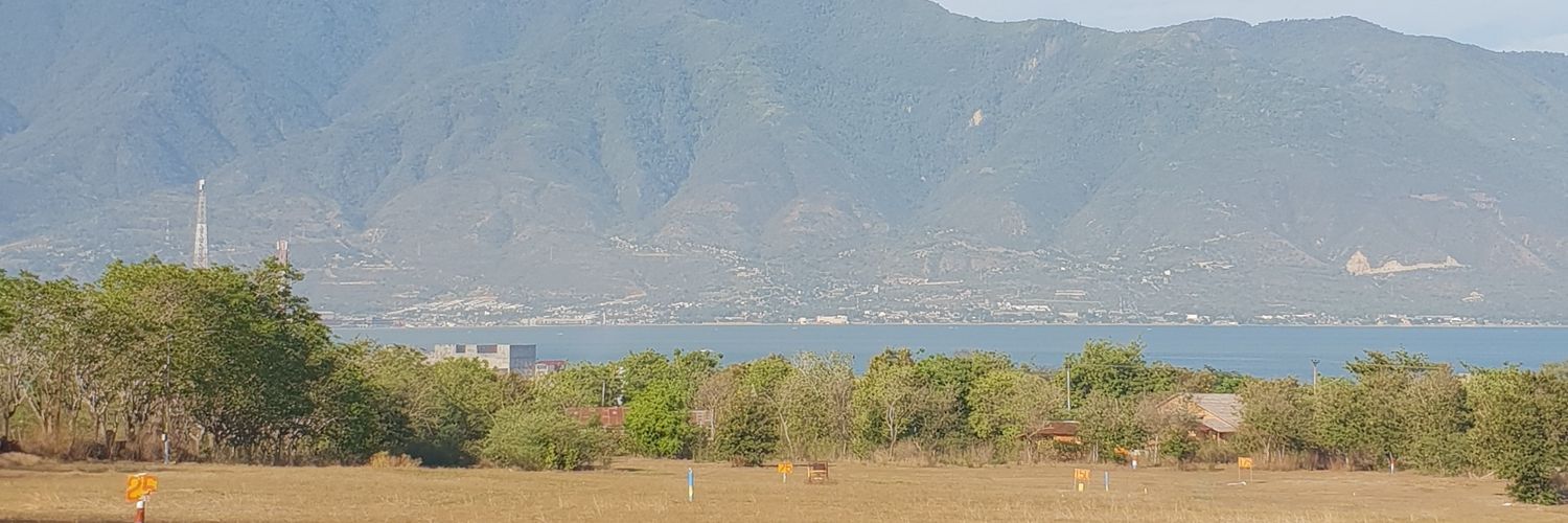 亚洲雄风Lee's banner