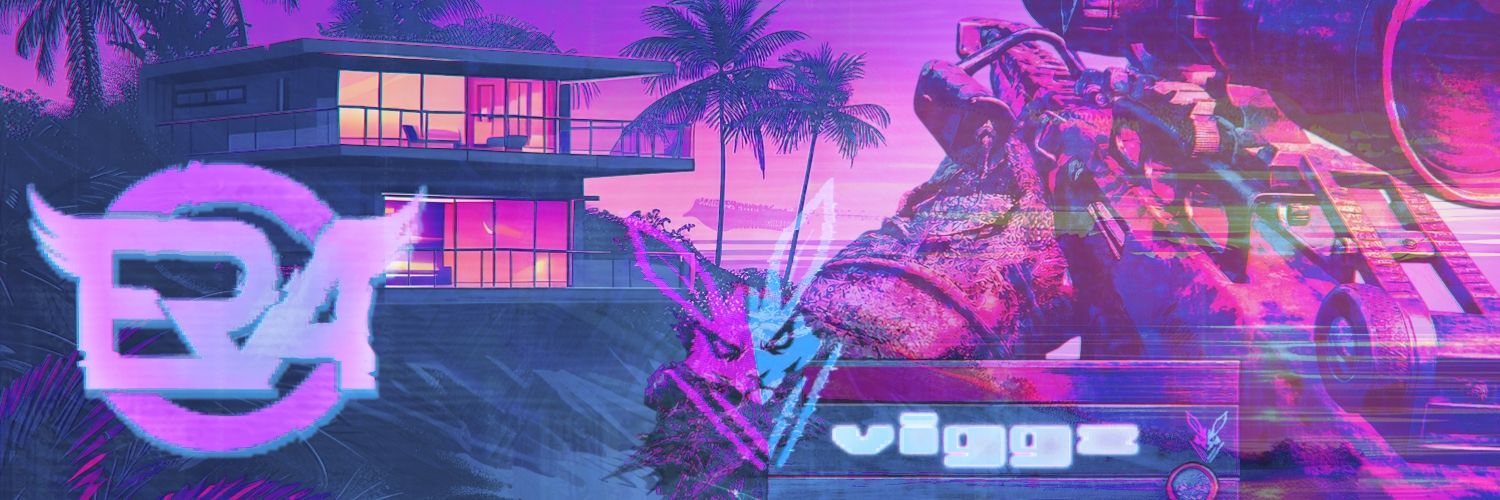 VIGGZ's banner
