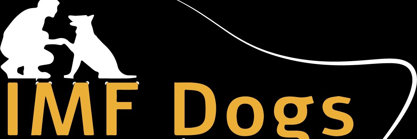 ישראל פרידלס ארכיון's banner