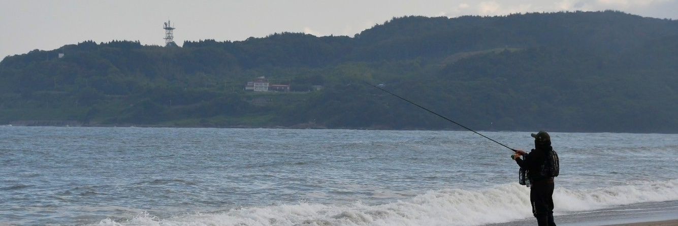 a-no's banner