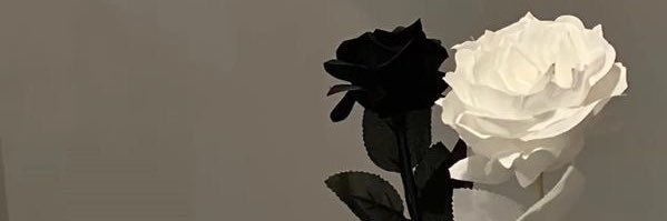 p's banner