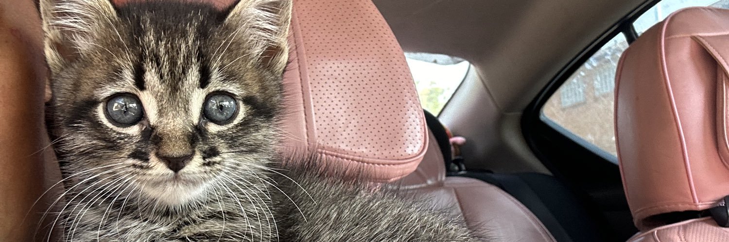 SweetPusscPauline._'s banner