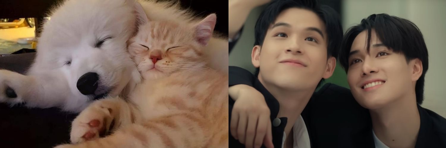 dils•⁠ᴗ⁠•'s banner