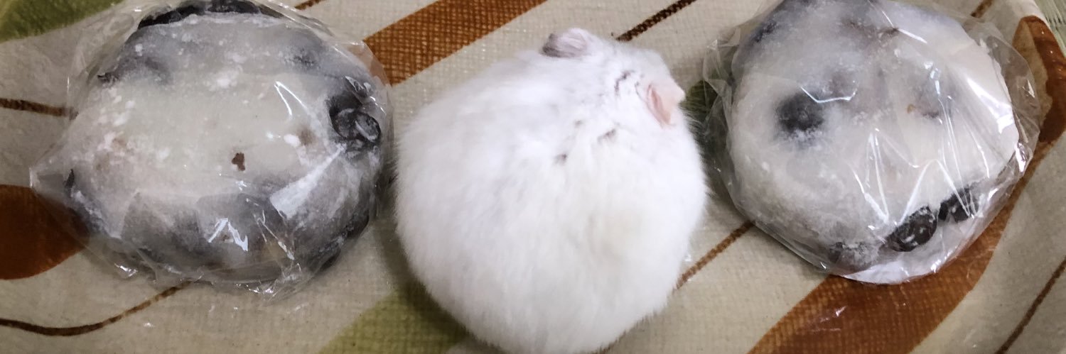 咲来（サラ）🍏🐹💕's banner