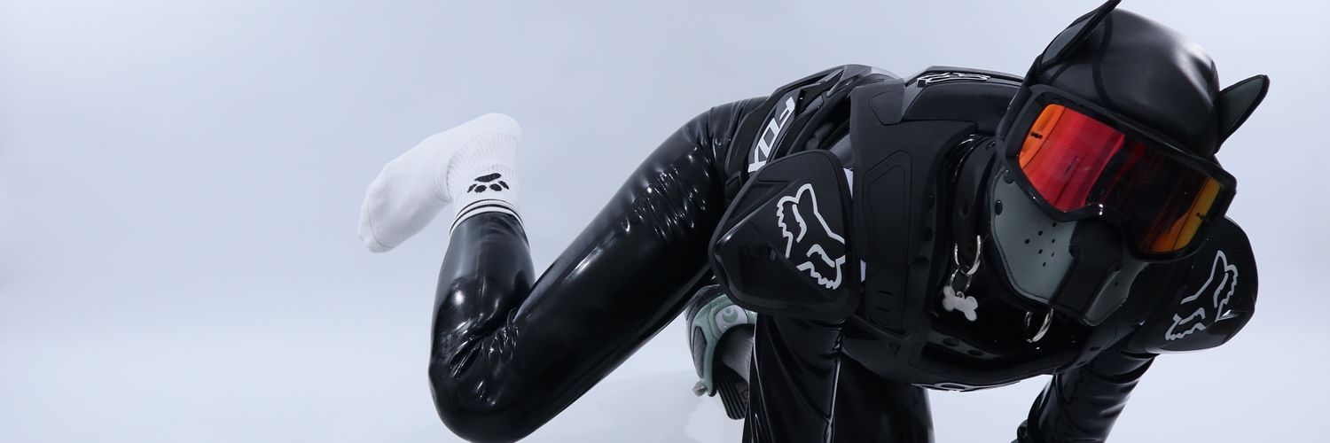sk8erdogy GEARBLAST EU's banner