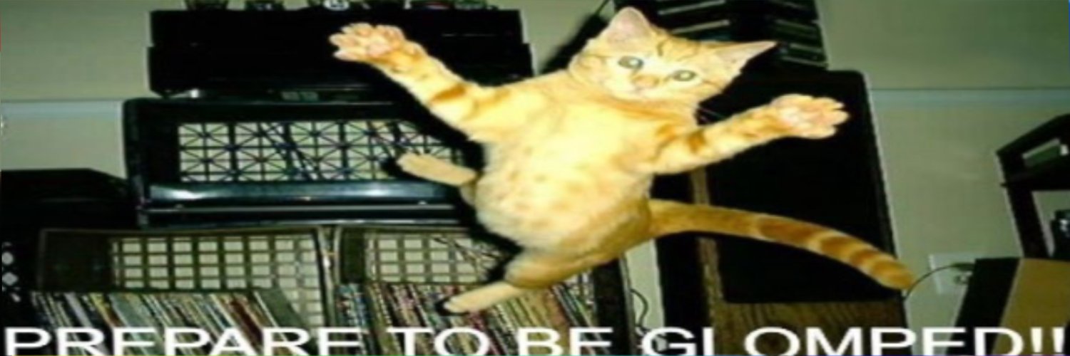 sam TADCPILLED TADCMAXXING's banner