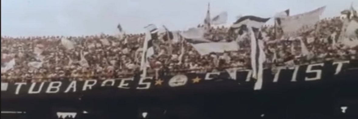 🦈Blog do Tubarão🦈 Danilo Correia's banner