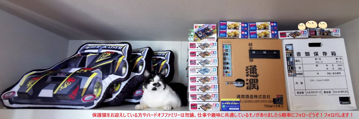 ベルクカイザーズ's banner