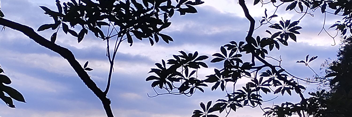 牛牛不牛's banner