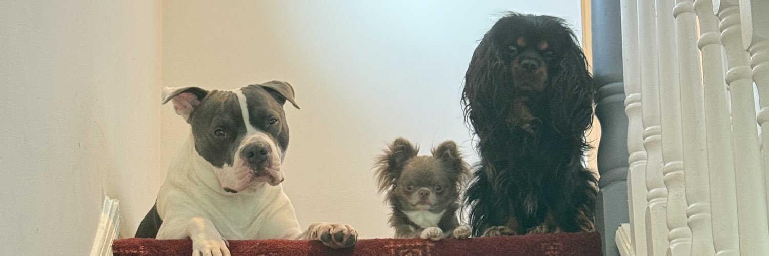 minx's banner
