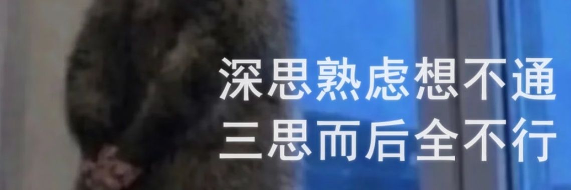 鱼屿's banner