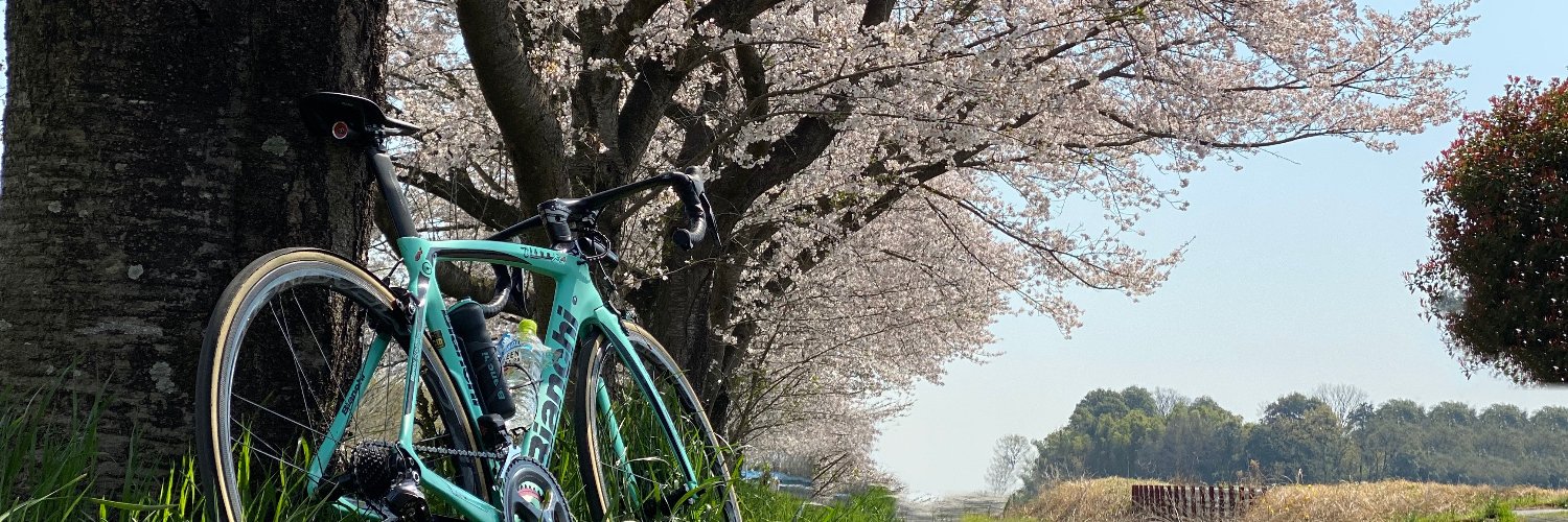 みんサイ's banner