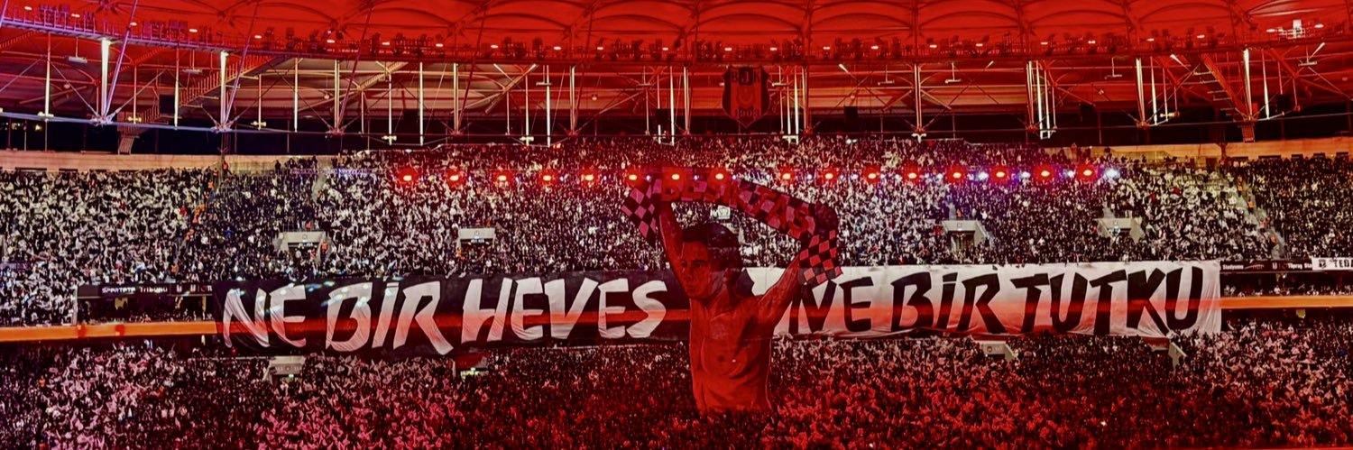 leyla's banner