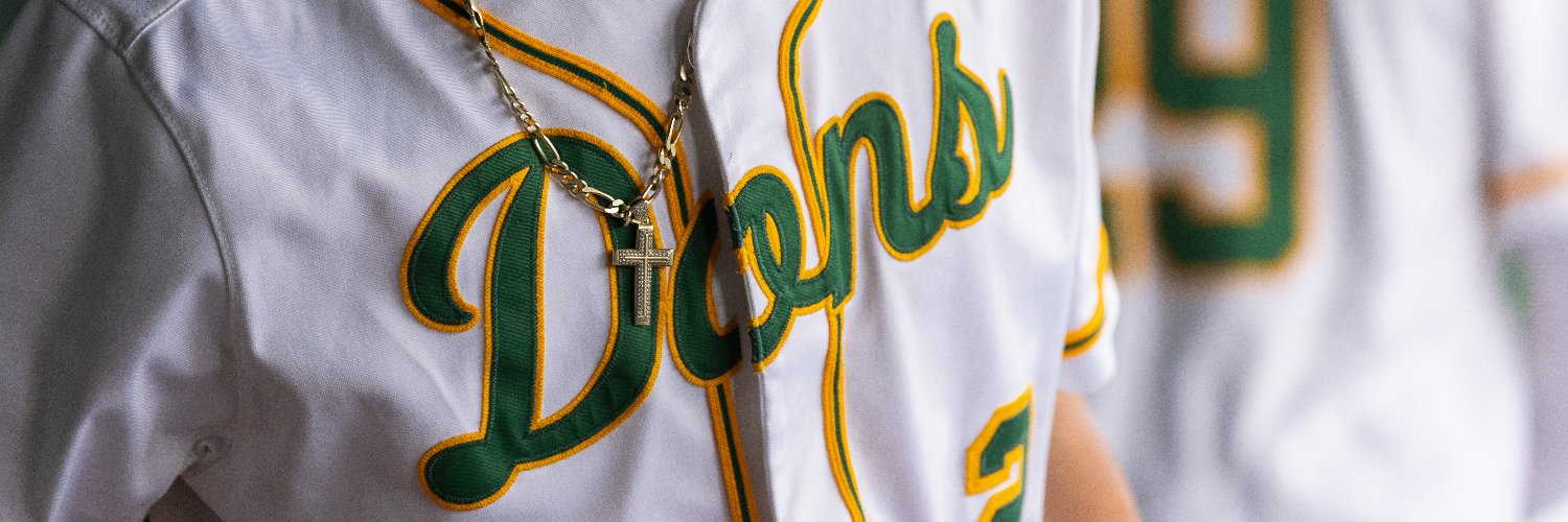 San Francisco Baseball's banner