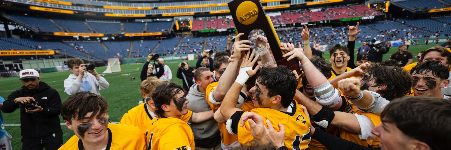 Adelphi Men's Lacrosse's banner