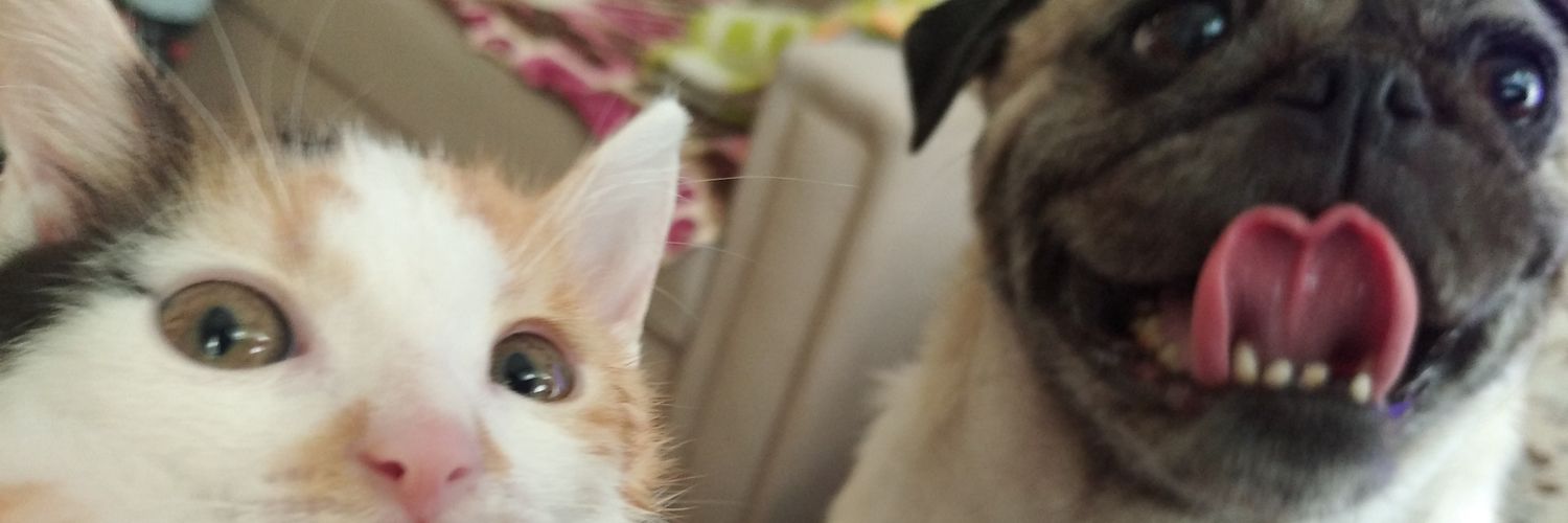 Ulu Kamgal Bado ve Tombi Bacı's banner
