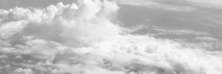 mes's banner