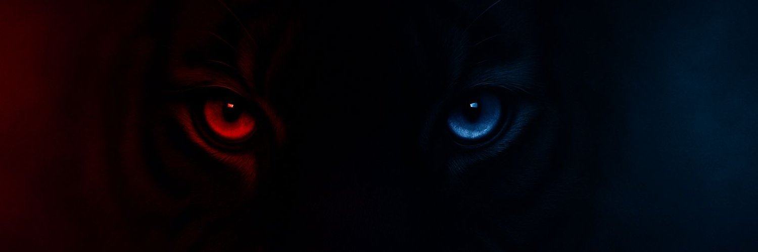 Ensar ﺦ's banner