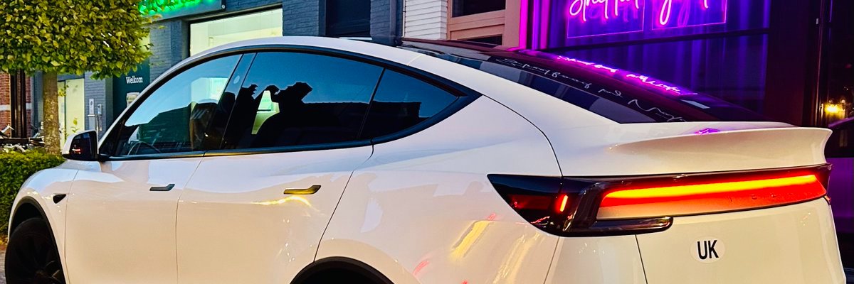 Will's banner