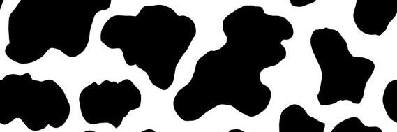 E 👅's banner
