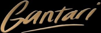 𝔸𝔸ℕ's banner
