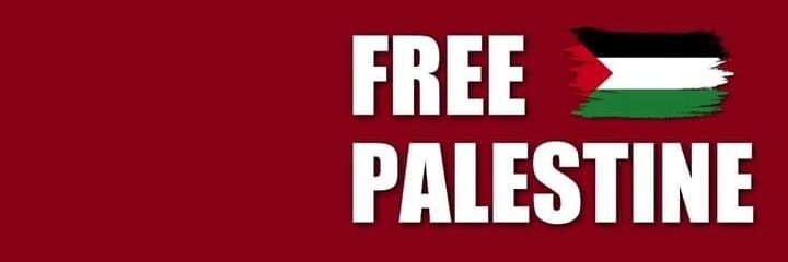 Fatma☀️🇵🇸's banner