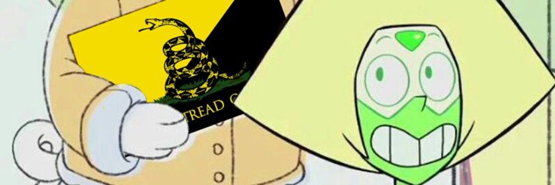 Reggie Akatsutsumi Willow Peri Abbott's banner