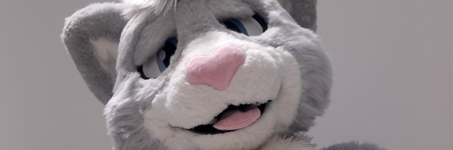 Zylom's banner