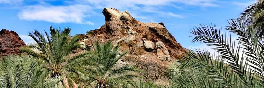 سعيد اليعربي's banner