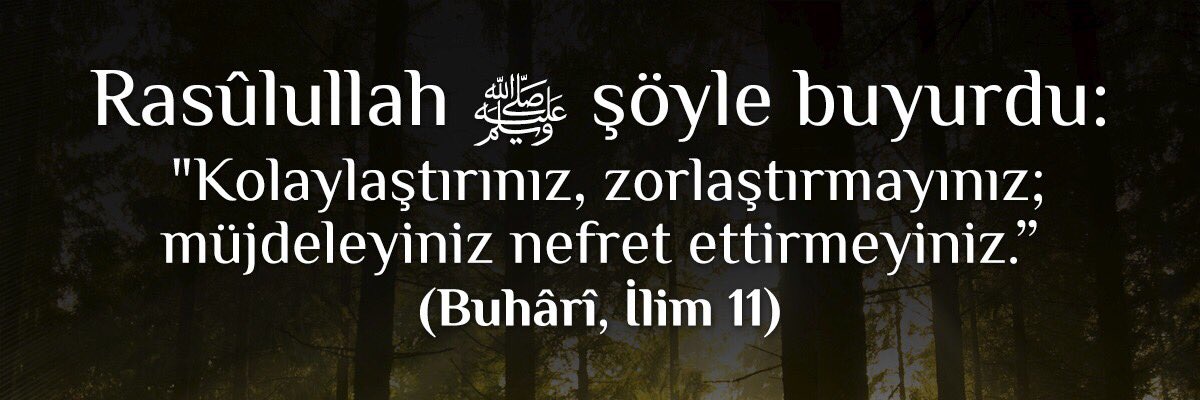 Fehmi İlkay Çeçen's banner