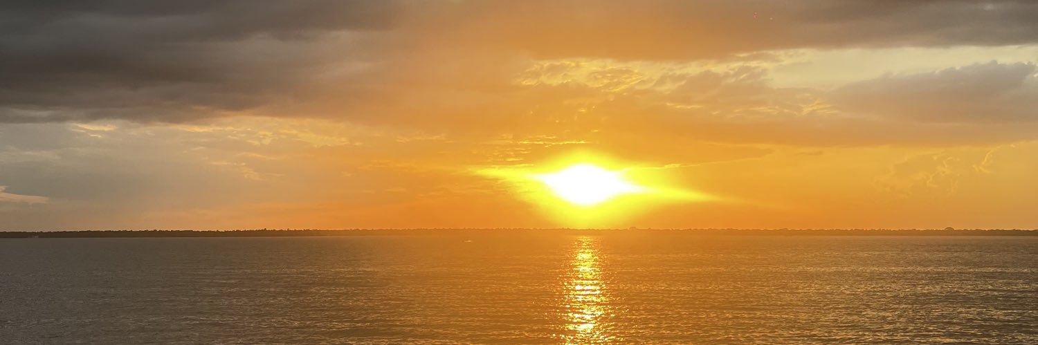 tho's banner