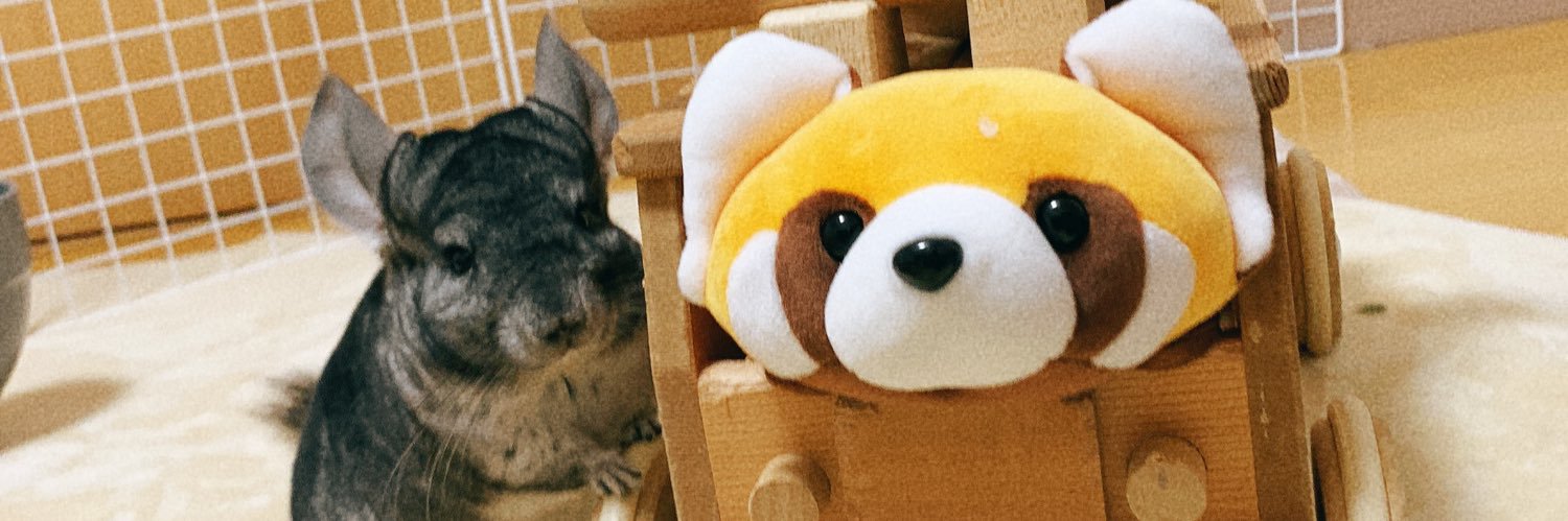 ちーこっこ🐭's banner