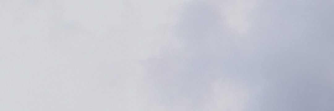 Mia Parrish's banner