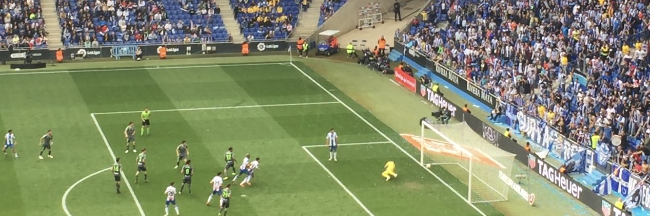 RCD Espanyol (Micha)'s banner