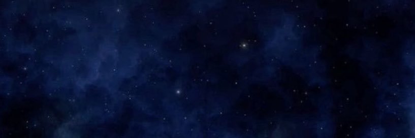 🦦's banner