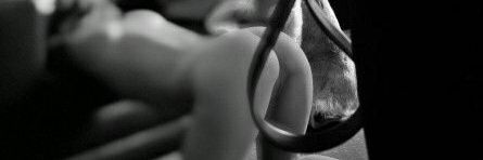 老年人如何爬树's banner