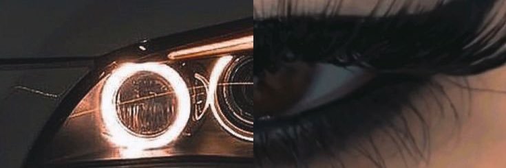 🐈‍⬛'s banner