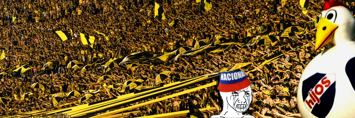 EL canchero del CDS🏅's banner